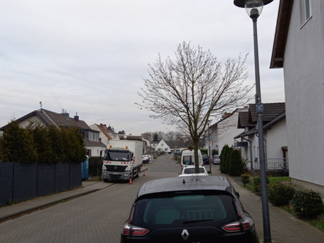Koeln Poll